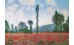 ΕΡΓΑ ΖΩΓΡΑΦΙΚΗΣ C. MONET